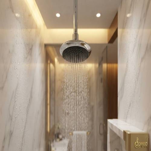 Why Do Hospitality Industries Prefer Rain Shower